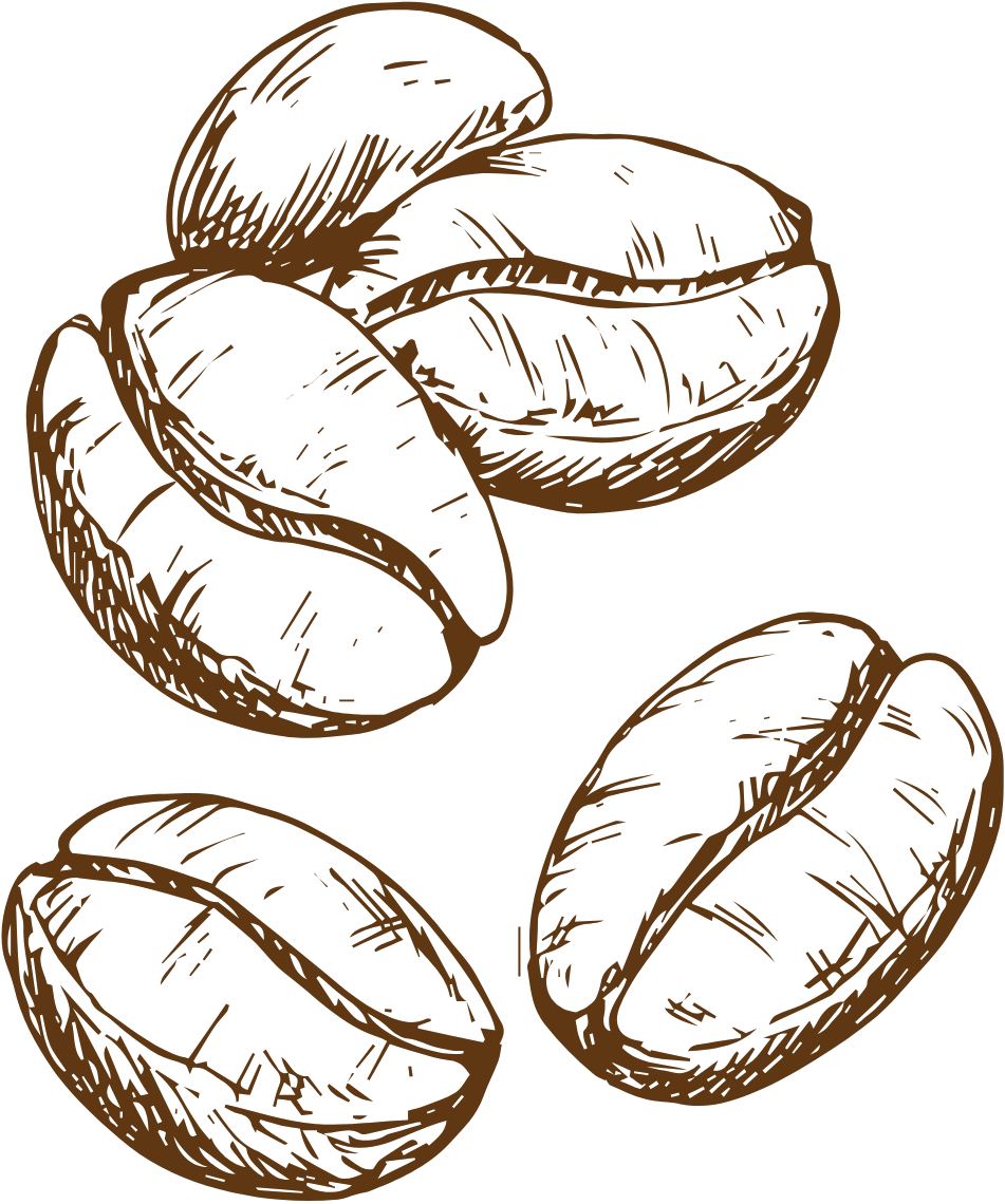 Coffee farmers selecting premium coffee beans